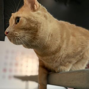 Meet your Posher, Eddy